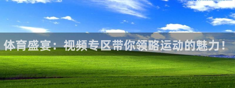 体育盛宴：视频专区带你领略运动的魅力！