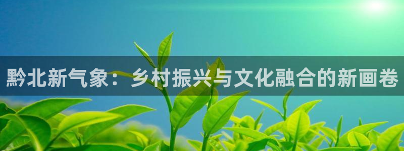 黔北新气象：乡村振兴与文化融合的新画卷