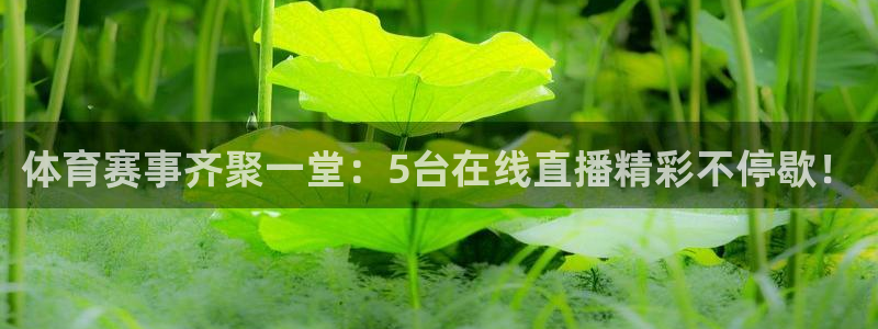 体育赛事齐聚一堂：5台在线直播精彩不停歇！