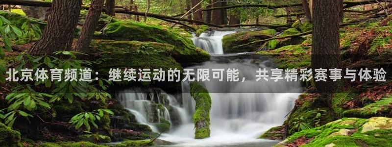 北京体育频道：继续运动的无限可能，共享精彩赛事与体验