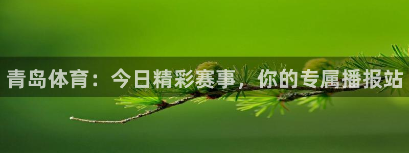 青岛体育：今日精彩赛事，你的专属播报站