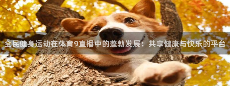 全民健身运动在体育9直播中的蓬勃发展：共享健康与快乐的平台