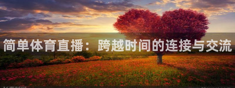 简单体育直播：跨越时间的连接与交流