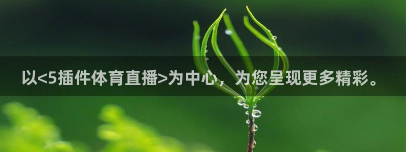 以<5插件体育直播>为中心，为您呈现更多精彩。