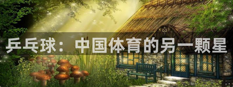 乒乓球：中国体育的另一颗星