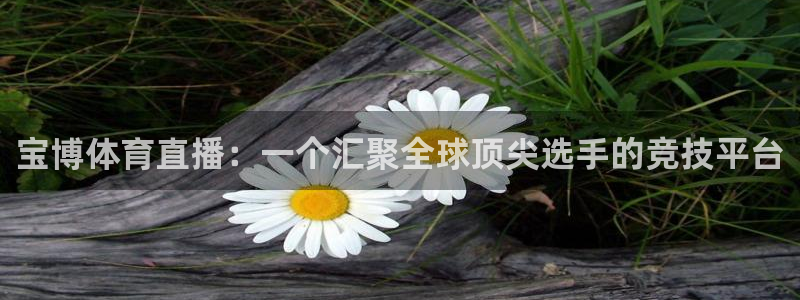 宝博体育直播：一个汇聚全球顶尖选手的竞技平台