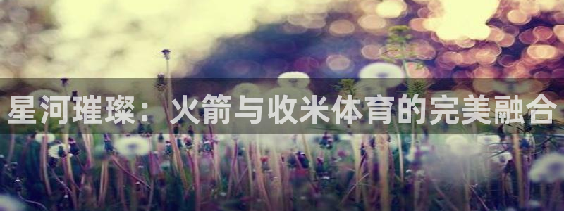 星河璀璨：火箭与收米体育的完美融合