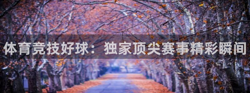 体育竞技好球：独家顶尖赛事精彩瞬间