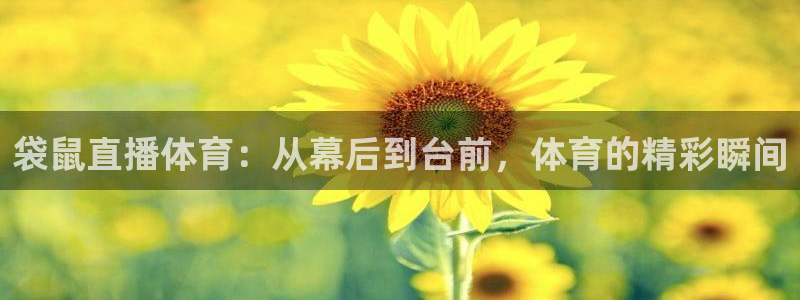 袋鼠直播体育：从幕后到台前，体育的精彩瞬间