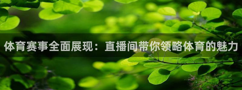 体育赛事全面展现：直播间带你领略体育的魅力