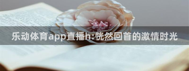 乐动体育app直播h:恍然回首的激情时光
