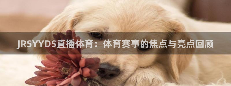 JRSYYDS直播体育：体育赛事的焦点与亮点回顾