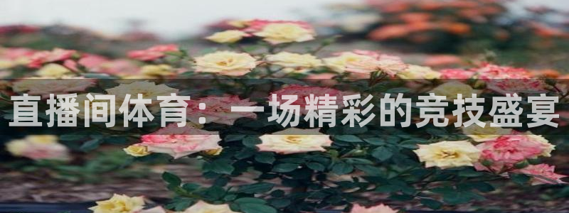 直播间体育：一场精彩的竞技盛宴