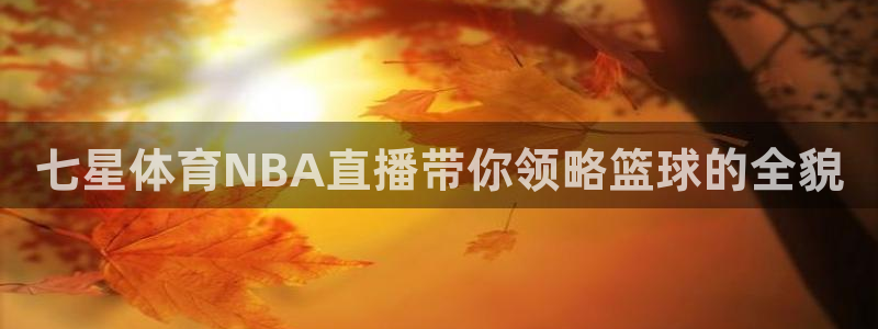 七星体育NBA直播带你领略篮球的全貌