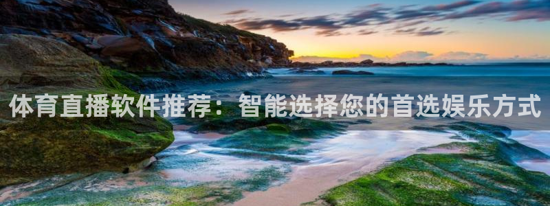 体育直播软件推荐：智能选择您的首选娱乐方式