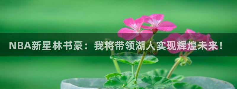 NBA新星林书豪：我将带领湖人实现辉煌未来！
