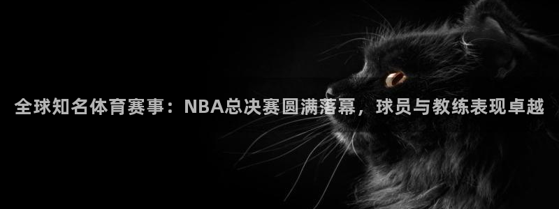 全球知名体育赛事：NBA总决赛圆满落幕，球员与教练表现卓越