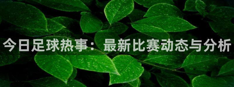 今日足球热事：最新比赛动态与分析