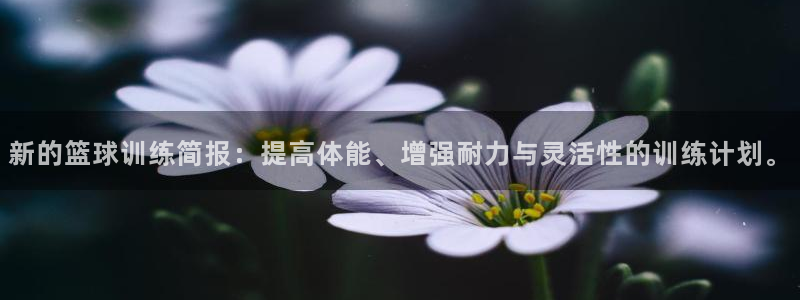 新的篮球训练简报：提高体能、增强耐力与灵活性的训练计划。