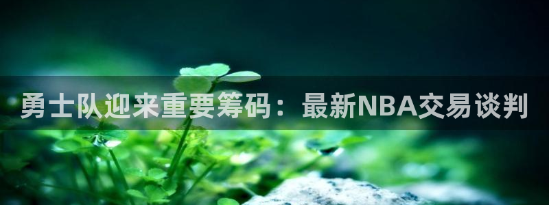 勇士队迎来重要筹码：最新NBA交易谈判