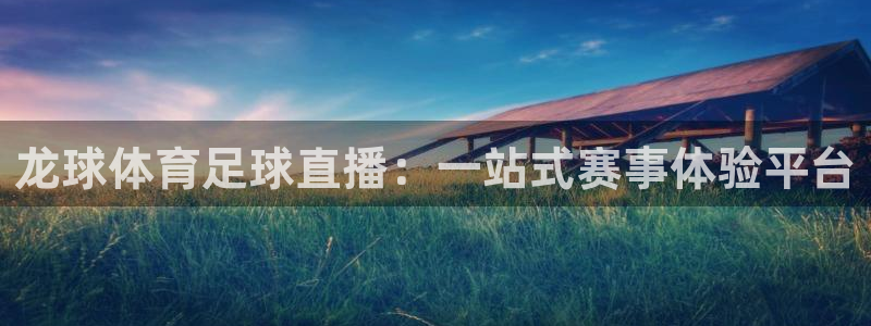 龙球体育足球直播：一站式赛事体验平台