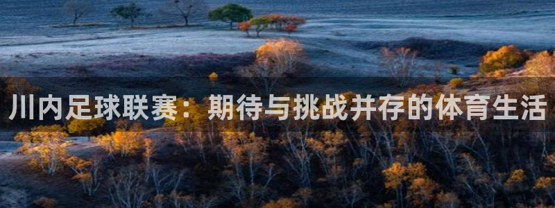 川内足球联赛：期待与挑战并存的体育生活