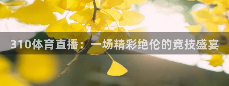 310体育直播：一场精彩绝伦的竞技盛宴