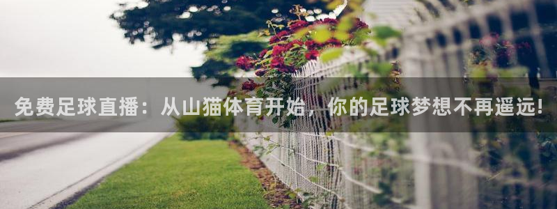 免费足球直播：从山猫体育开始，你的足球梦想不再遥远!