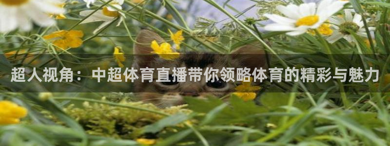 超人视角：中超体育直播带你领略体育的精彩与魅力