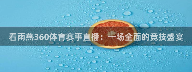 看雨燕360体育赛事直播：一场全面的竞技盛宴