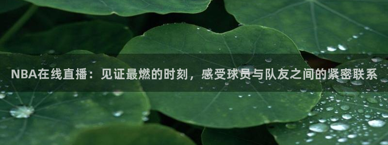 NBA在线直播：见证最燃的时刻，感受球员与队友之间的紧密联系