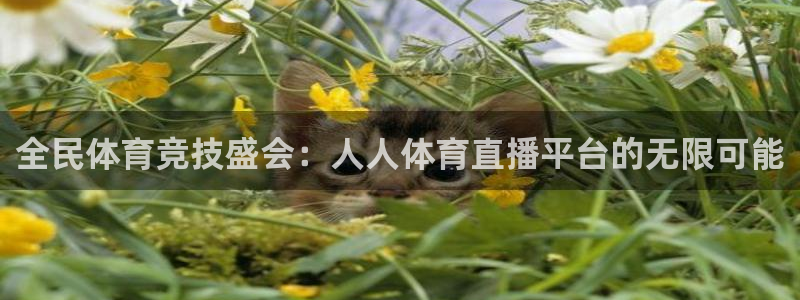 全民体育竞技盛会：人人体育直播平台的无限可能