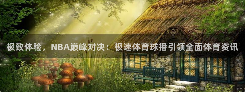 极致体验，NBA巅峰对决：极速体育球播引领全面体育资讯