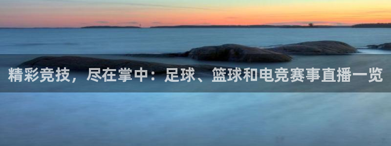 精彩竞技，尽在掌中：足球、篮球和电竞赛事直播一览