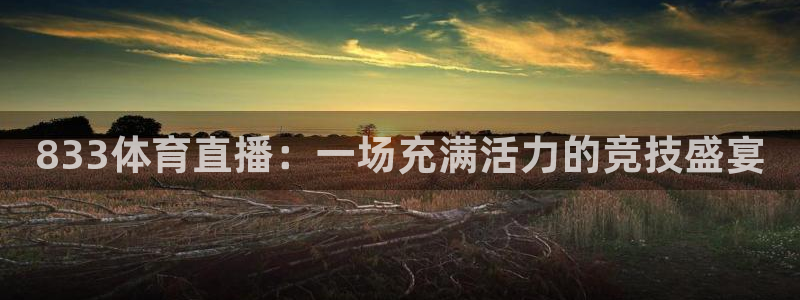 833体育直播：一场充满活力的竞技盛宴