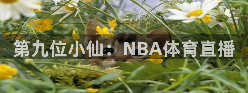 第九位小仙：NBA体育直播