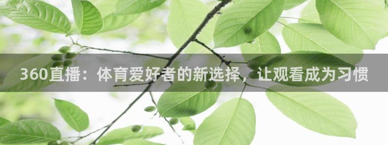 360直播：体育爱好者的新选择，让观看成为习惯