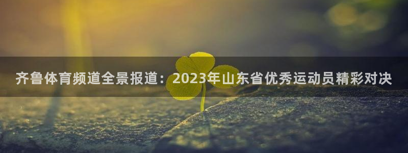 齐鲁体育频道全景报道：2023年山东省优秀运动员精彩对决