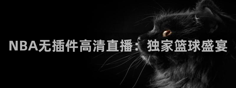 NBA无插件高清直播：独家篮球盛宴