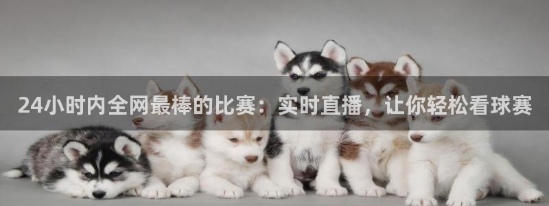 24小时内全网最棒的比赛：实时直播，让你轻松看球赛