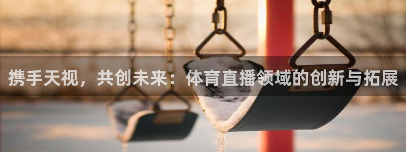 携手天视，共创未来：体育直播领域的创新与拓展