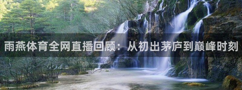 雨燕体育全网直播回顾：从初出茅庐到巅峰时刻