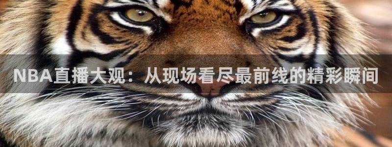 NBA直播大观：从现场看尽最前线的精彩瞬间